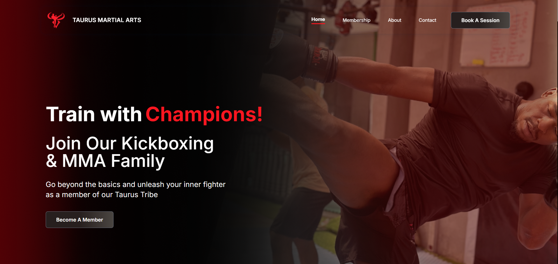 Taurus Martial Arts interface